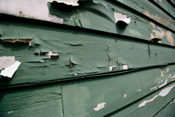 Best Fiber Cement Siding Installation  in Montevlo, AL