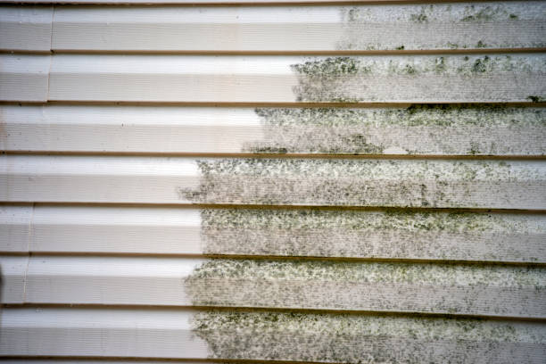 Best Aluminum Siding Installation  in Montevlo, AL