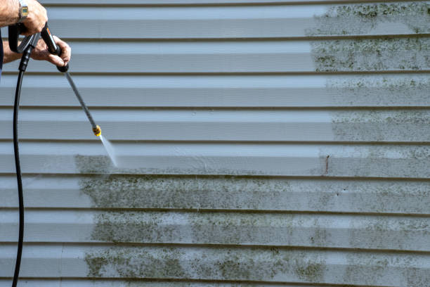 Best Storm Damage Siding Repair  in Montevlo, AL