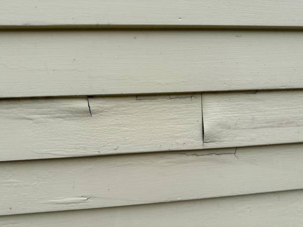 Best Residential Vinyl Siding Installation  in Montevlo, AL